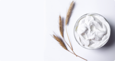 Milk &amp; Cheese / Yoghrt