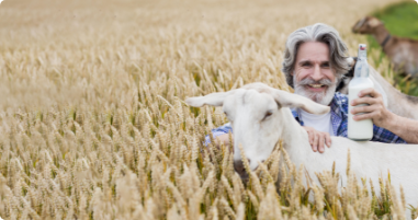 Milk &amp; Cheese / Animal Milk