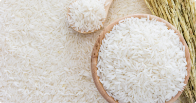 Food / Rice